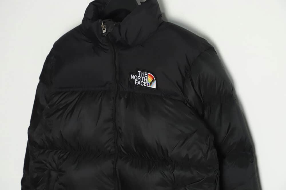 The North Face FW22 1996 复古 Nuptse Pride 夹克 700 Puff 彩虹标志刺绣立领拉链羽绒服 TSK1