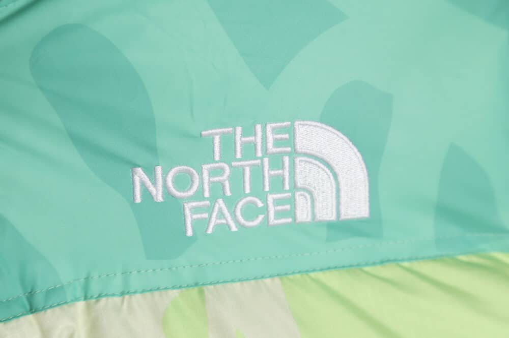 The North Face KAWS 联名 1996 美版羽绒服 TSK3